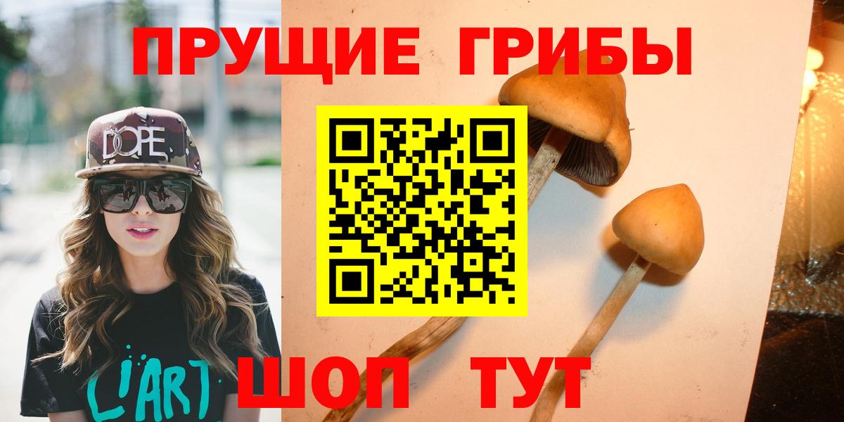 Галлюциногенные грибы прущие грибы Саратов